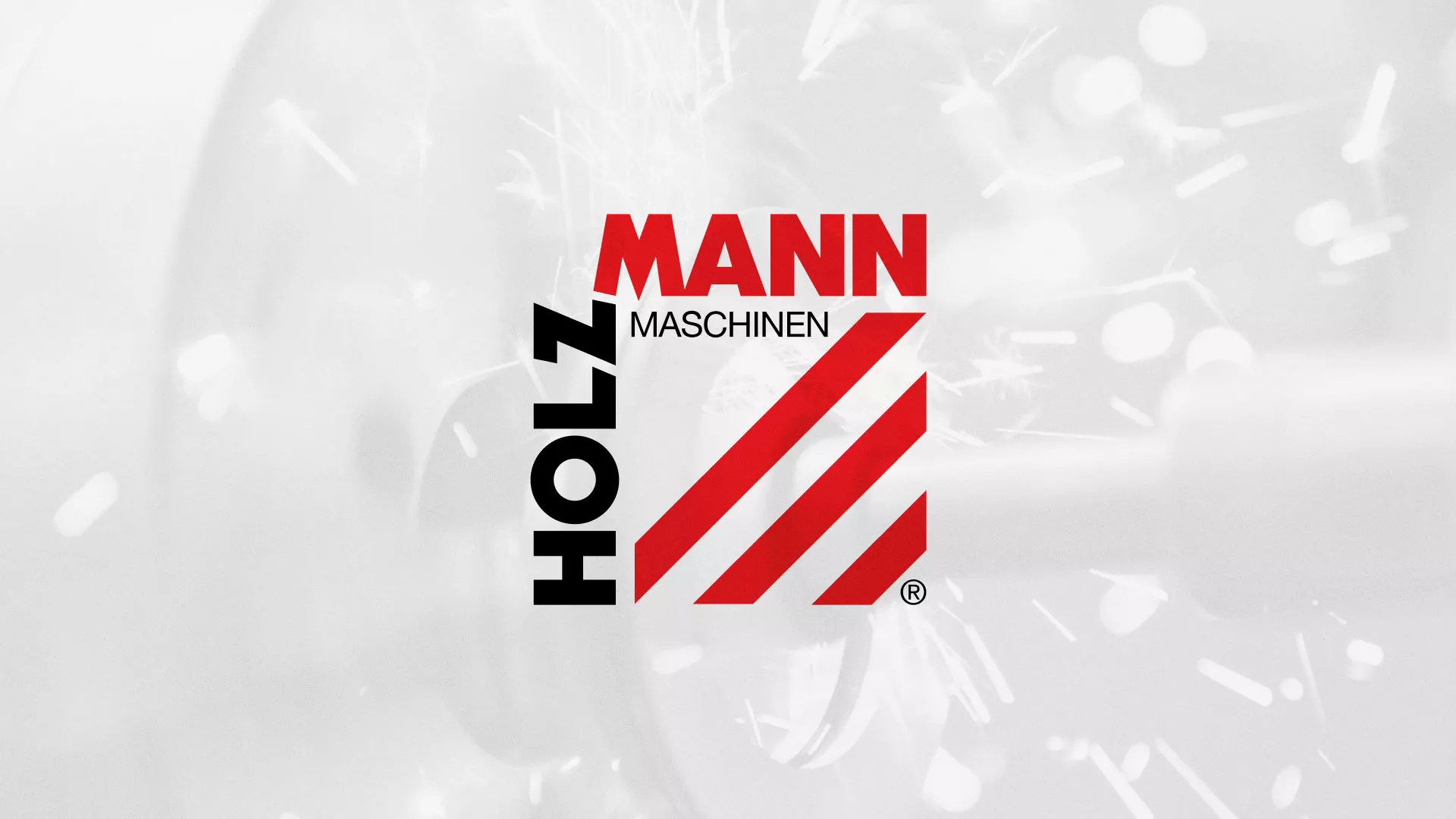 Создание сайта компании «HOLZMANN Maschinen GmbH» в Гдове