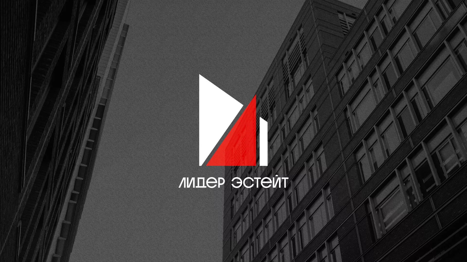 Сделали логотип для агентства недвижимости «Лидер Эстейт» в Гдове